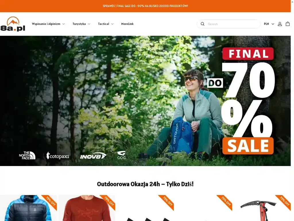 Screenshot of Non-Delivery scam website "500 Internal Server Error"