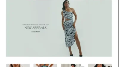 Screenshot of Non-Delivery scam website "Acegoilfss.com"