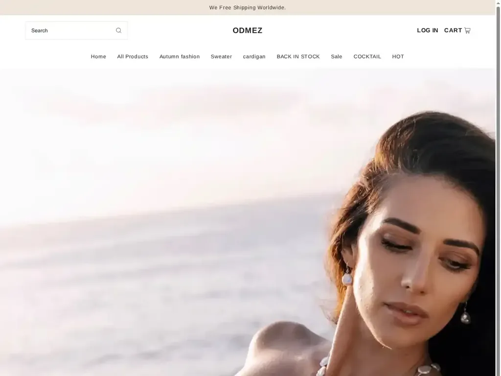 Screenshot of Non-Delivery scam website "500 Internal Server Error"