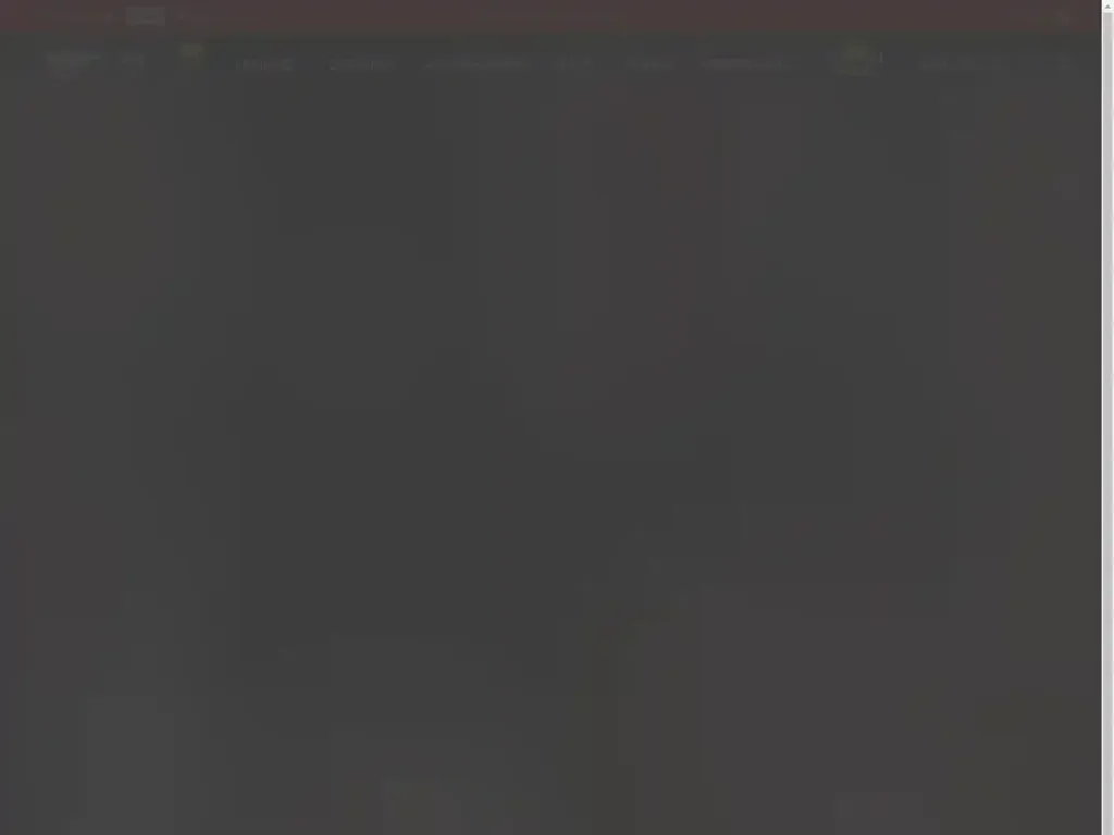 Screenshot of Non-Delivery scam website "500 Internal Server Error"