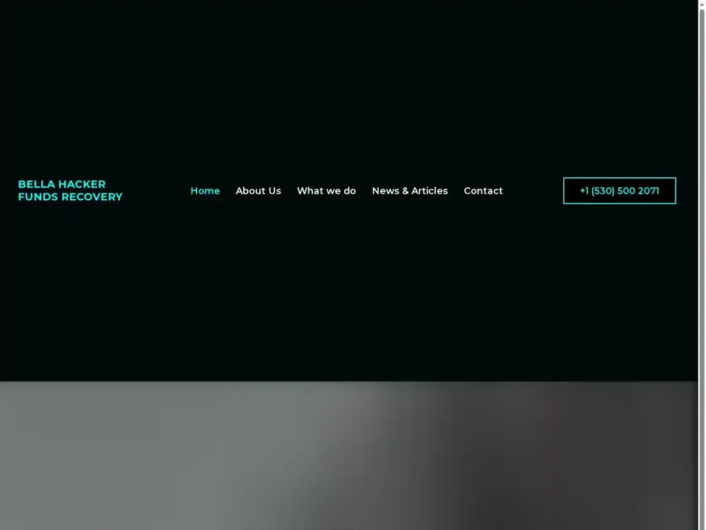 Screenshot of Non-Delivery scam website "Bella Hacker Funds Recovery – Best bitcoin, USDT and cryptocurrencies recovery experts"