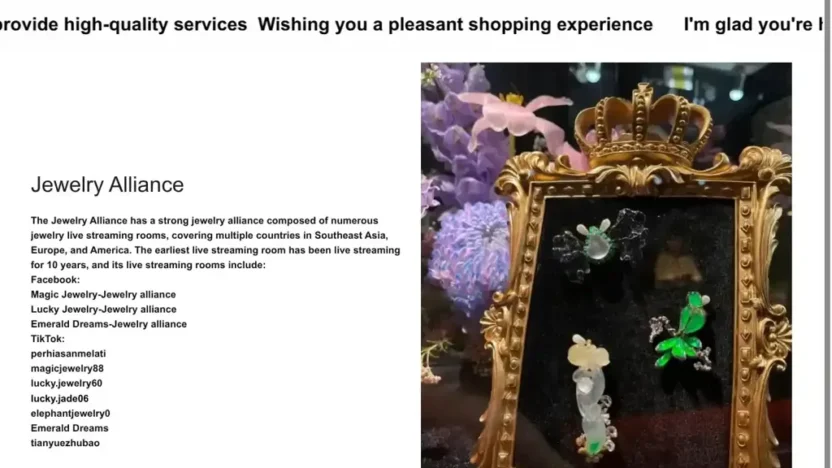 Screenshot of Non-Delivery scam website "Bigjewelryalliance.com"