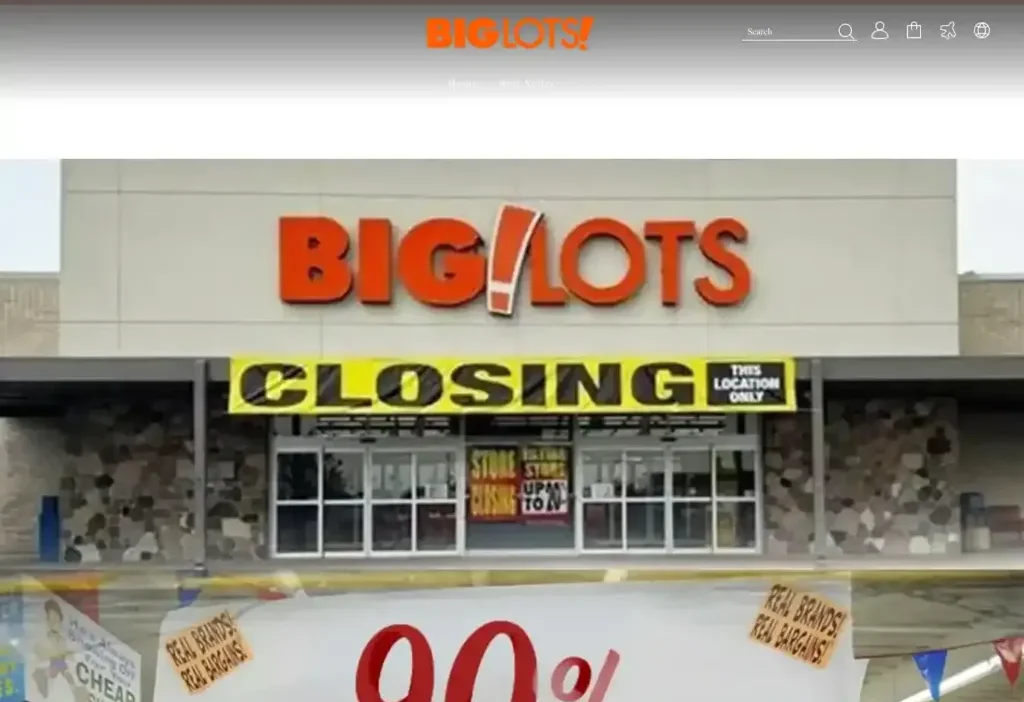 Screenshot of Non-Delivery scam website "Biglotdiscont.com"