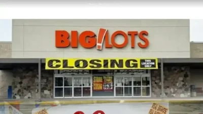 Screenshot of Non-Delivery scam website "Biglotdiscont.com"