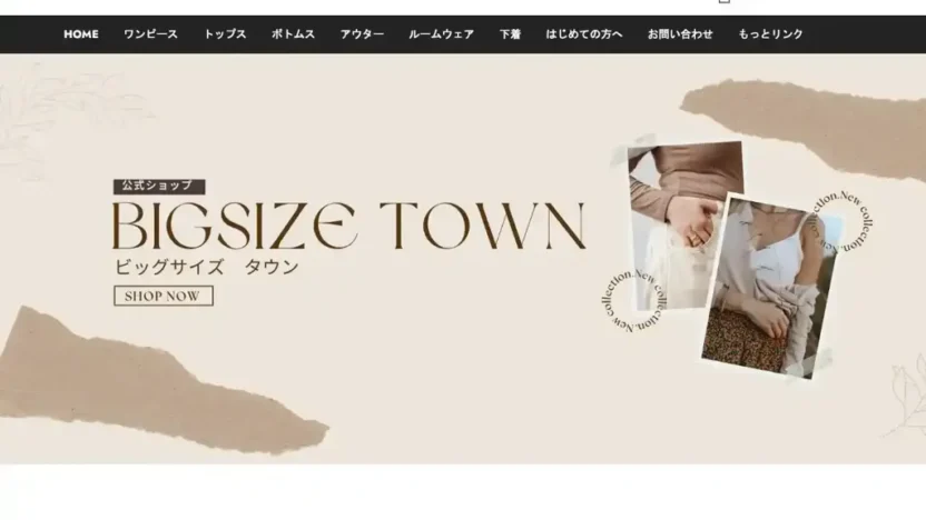 Screenshot of Non-Delivery scam website "Bigsize-town.com"