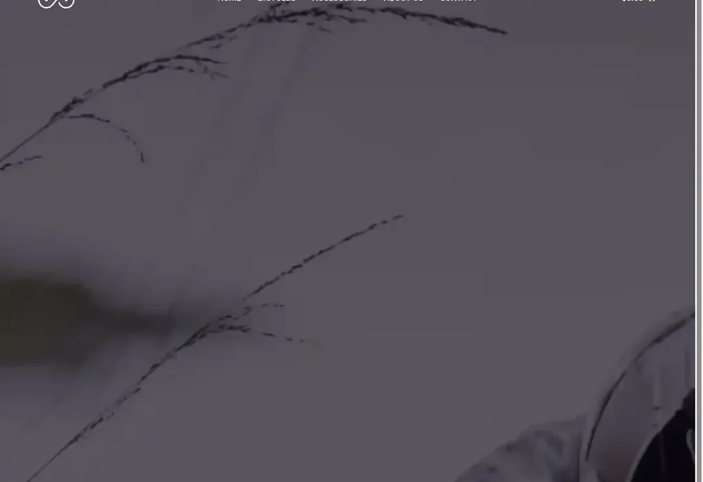 Screenshot of Non-Delivery scam website "Bikersinventory.com"