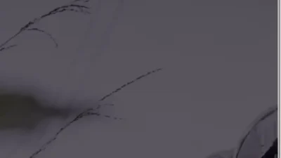 Screenshot of Non-Delivery scam website "Bikersinventory.com"