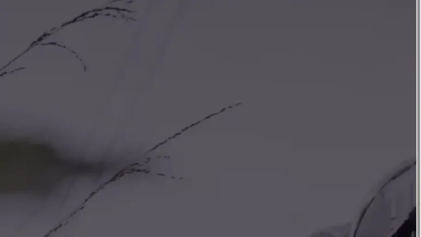 Screenshot of Non-Delivery scam website "Bikersinventory.com"