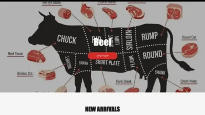 Screenshot of Non-Delivery scam website "Bioliteenergy.shop"