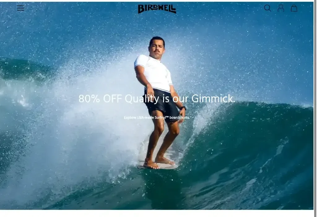 Screenshot of Non-Delivery scam website "Birdwellsale.com"