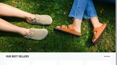 Screenshot of Non-Delivery scam website "Birkenstockeu2025.shop"