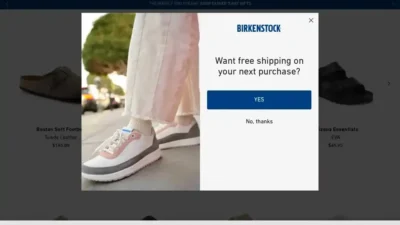Screenshot of Non-Delivery scam website "Birkenstockmine.com"