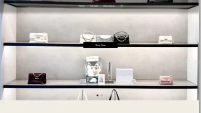 Screenshot of Non-Delivery scam website "Blueillusion-sale.com"