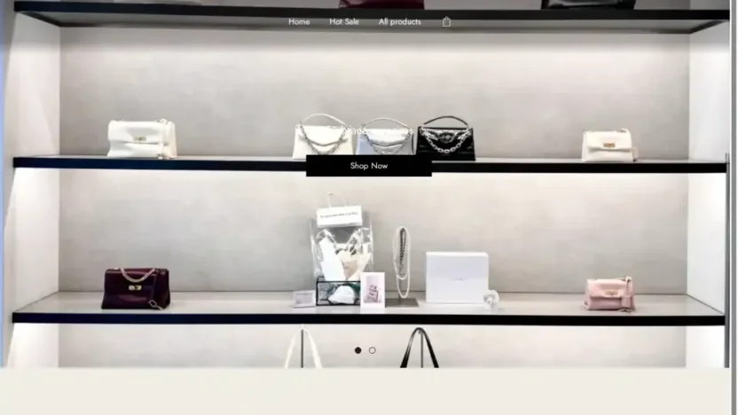 Screenshot of Non-Delivery scam website "Blueillusion-sale.com"