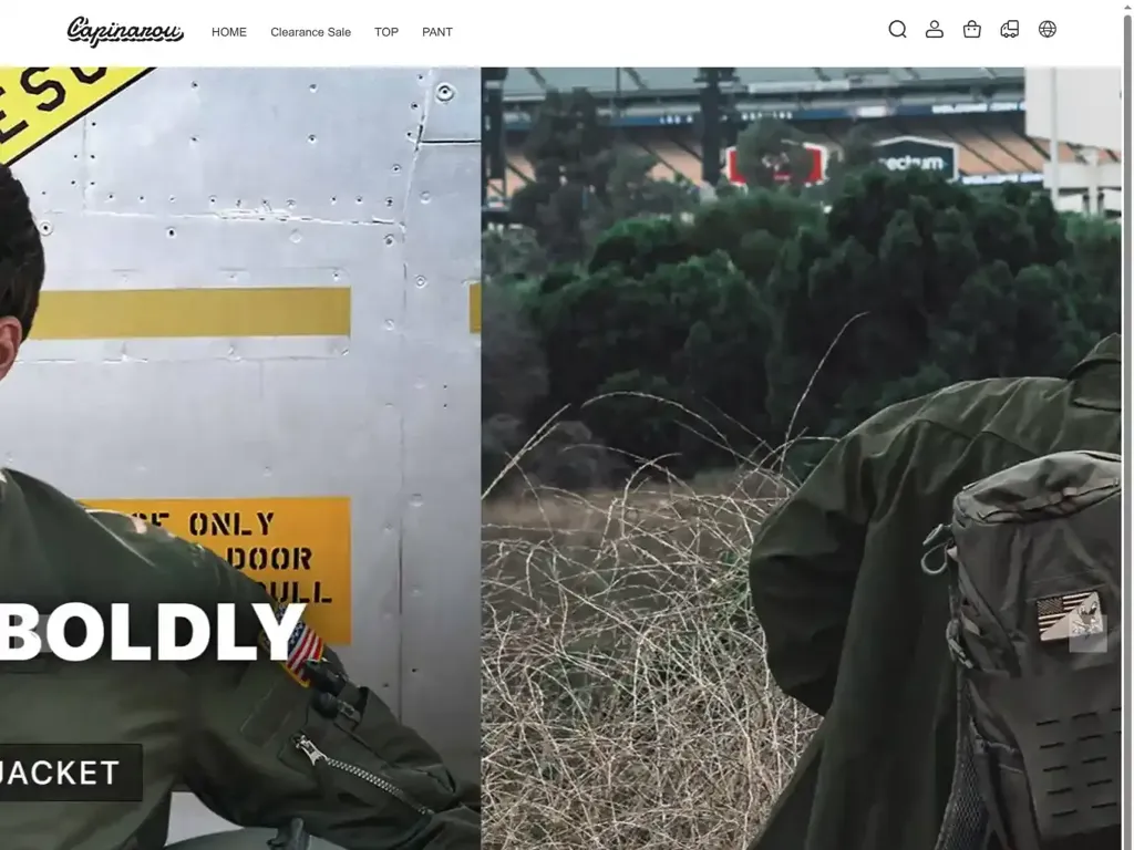 Screenshot of Non-Delivery scam website ""