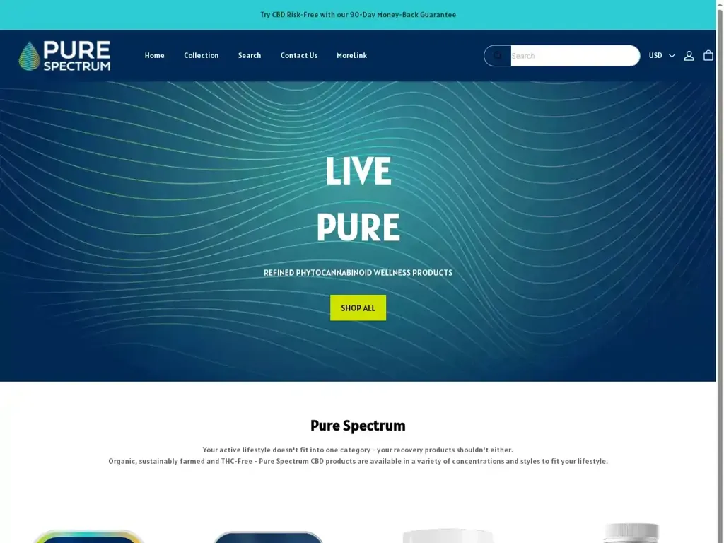 Screenshot of Non-Delivery scam website "500 Internal Server Error"