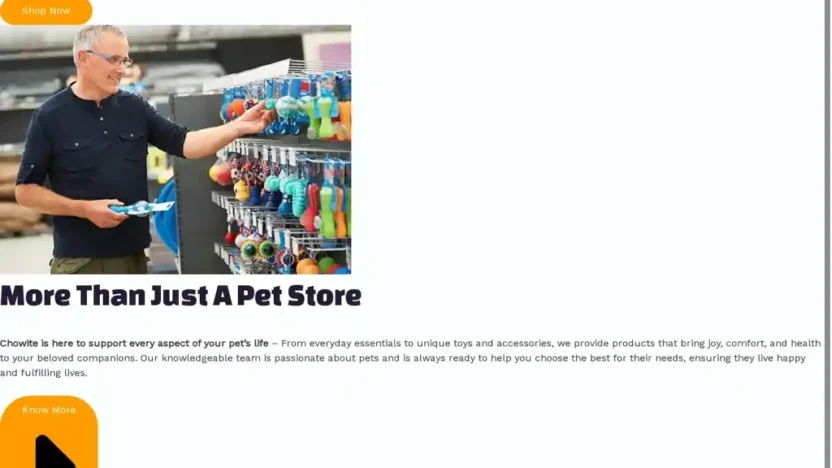 Screenshot of Non-Delivery scam website "Chowite.com"