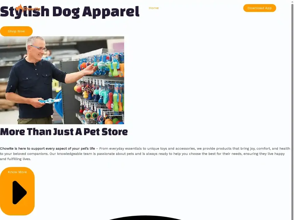 Screenshot of Non-Delivery scam website "chowite.com"