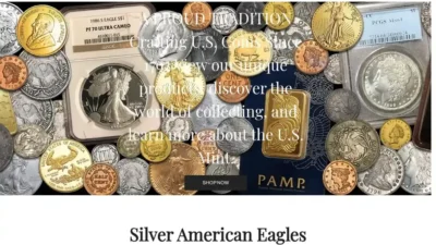 Screenshot of Non-Delivery scam website "Chronotokenum.com"