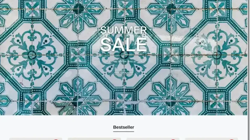 Screenshot of Non-Delivery scam website "Coccinelle-hot.com"