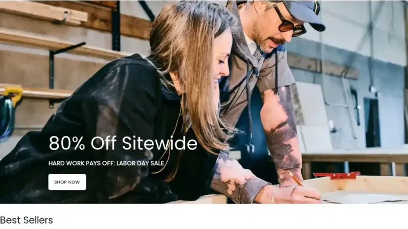 Screenshot of Non-Delivery scam website "Dickiesofficial.com"