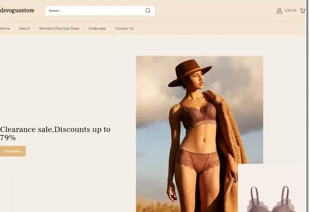 Screenshot of Non-Delivery scam website "Dsvoguestore.com"