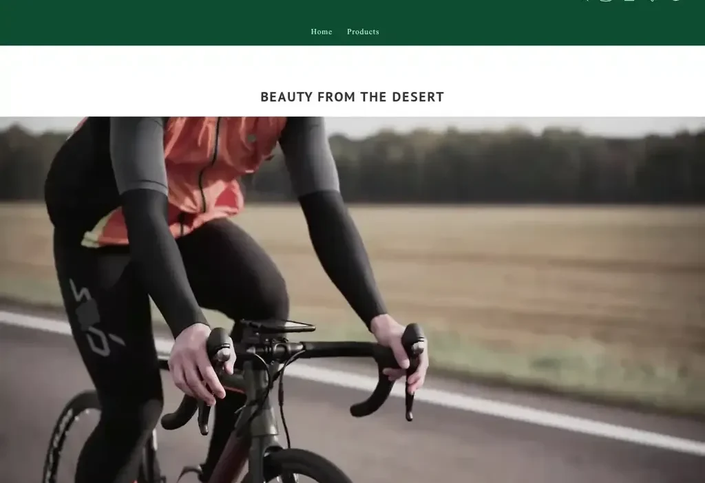 Screenshot of Non-Delivery scam website "Ebikeride.top"