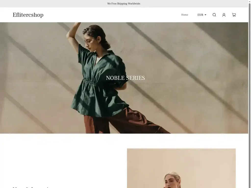 Screenshot of Non-Delivery scam website ""