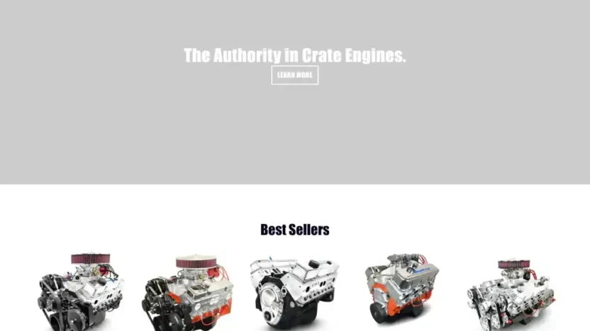 Screenshot of Non-Delivery scam website "Engineus.shop"