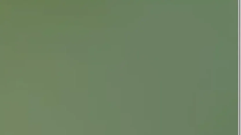 Screenshot of Non-Delivery scam website "Fertilizerexporters.com"