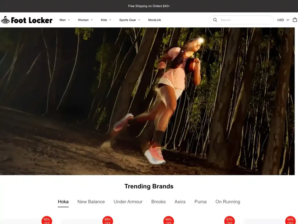 Screenshot of Non-Delivery scam website "500 Internal Server Error"