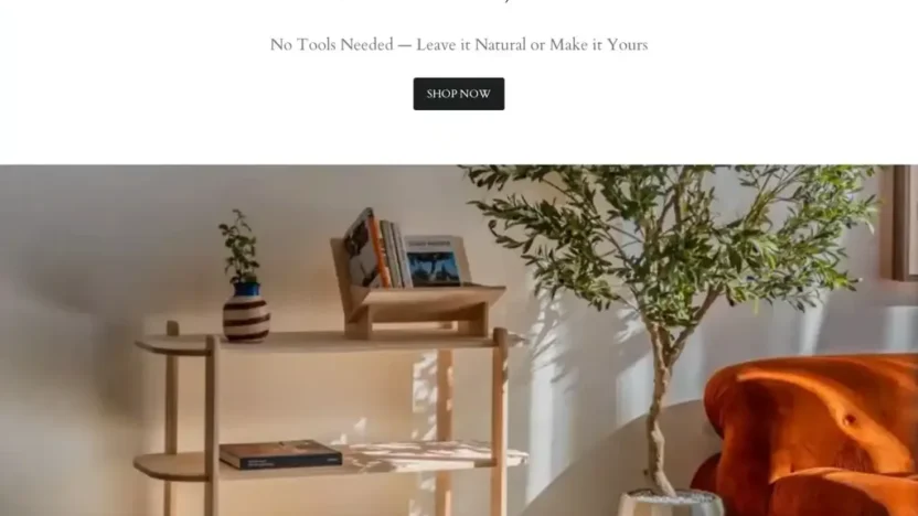 Screenshot of Non-Delivery scam website "Gofurnitureun.com"