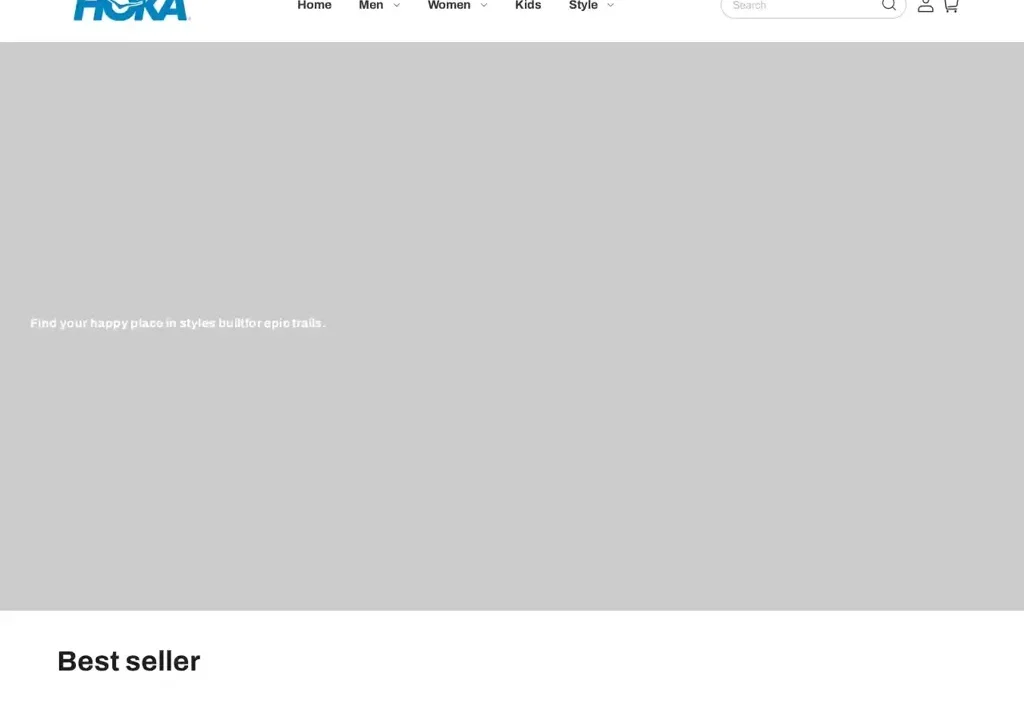 Screenshot of Non-Delivery scam website "Hokavip.com"