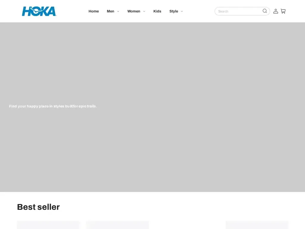 Screenshot of Non-Delivery scam website "500 Internal Server Error"