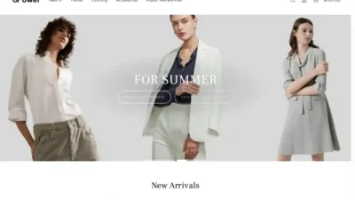 Screenshot of Non-Delivery scam website "Holzman.shop"