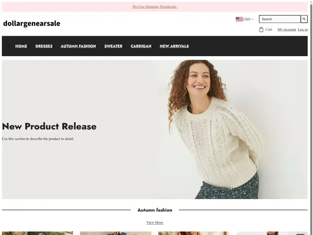 Screenshot of Non-Delivery scam website "500 Internal Server Error"