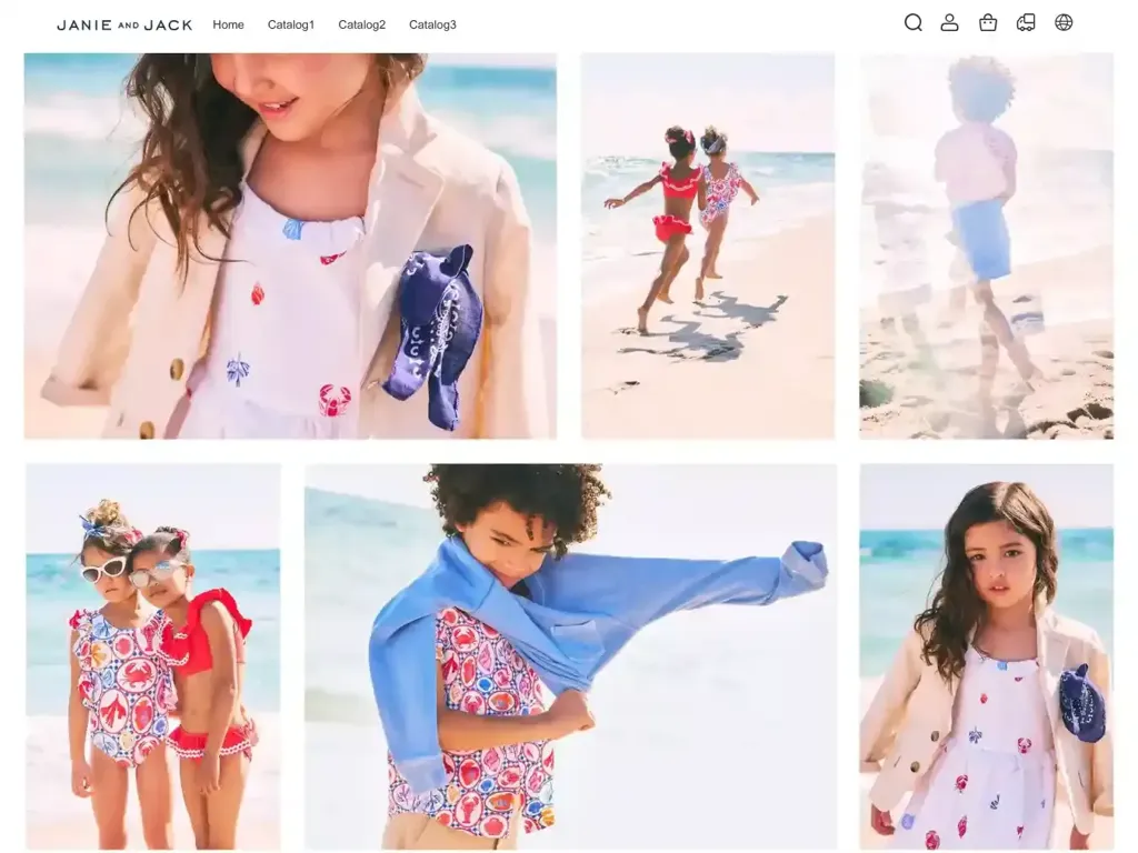 Screenshot of Non-Delivery scam website ""