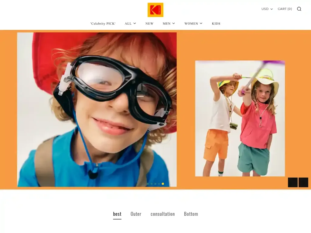 Screenshot of Non-Delivery scam website "500 Internal Server Error"