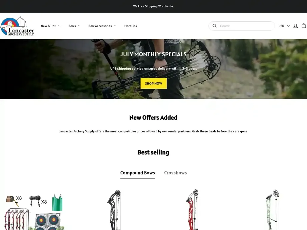 Screenshot of Non-Delivery scam website "500 Internal Server Error"