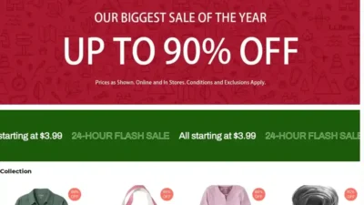 Screenshot of Non-Delivery scam website "Liibane.shop"