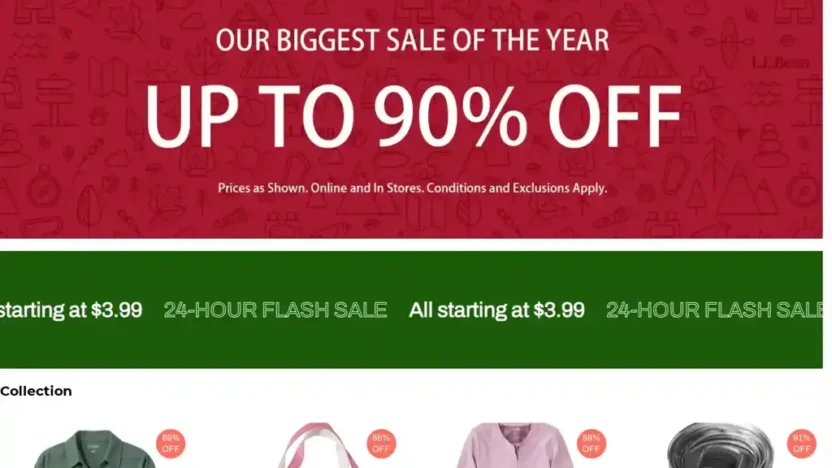 Screenshot of Non-Delivery scam website "Liibane.shop"