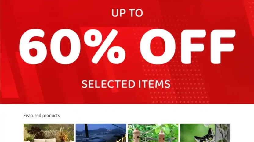 Screenshot of Non-Delivery scam website "Moolpal.com"