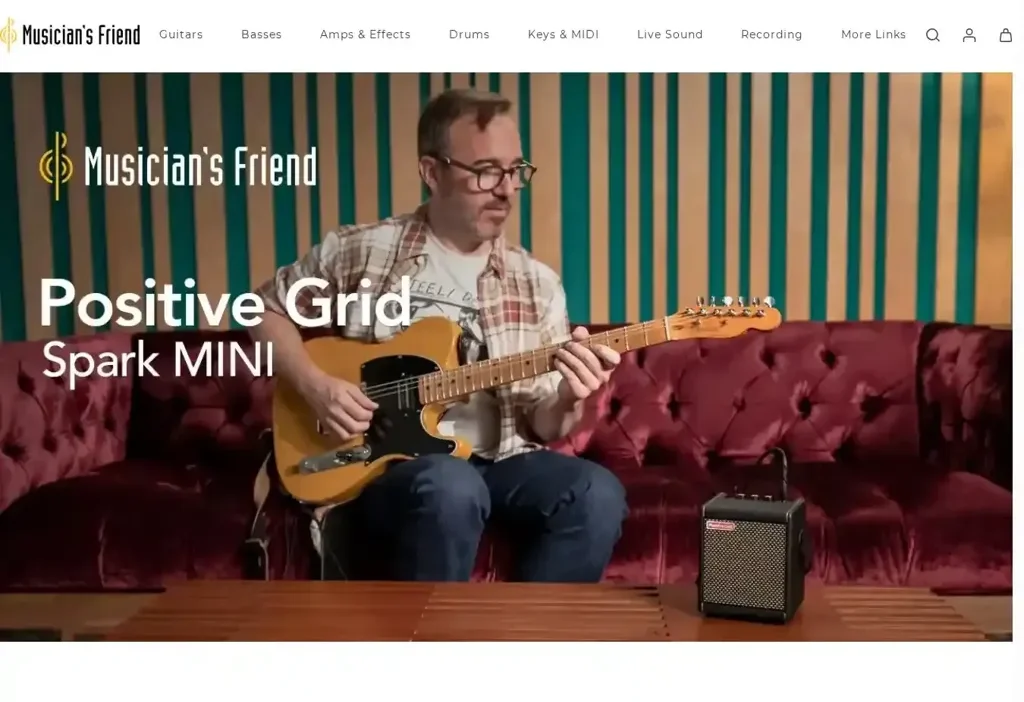 Screenshot of Non-Delivery scam website "Musicians-friendvip.com"