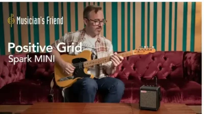 Screenshot of Non-Delivery scam website "Musicians-friendvip.com"