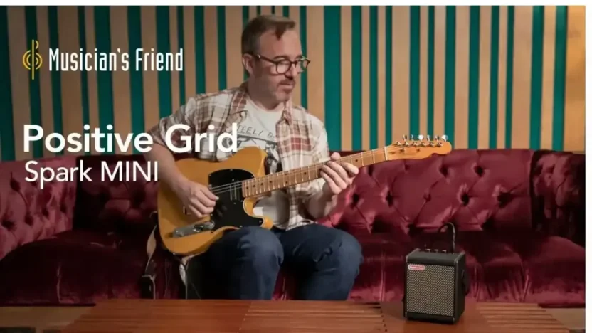 Screenshot of Non-Delivery scam website "Musicians-friendvip.com"