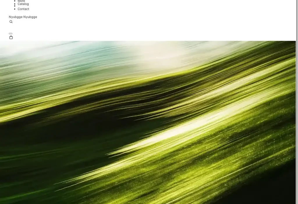 Screenshot of Non-Delivery scam website "Nyubgge.shop"