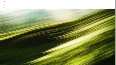 Screenshot of Non-Delivery scam website "Nyubgge.shop"