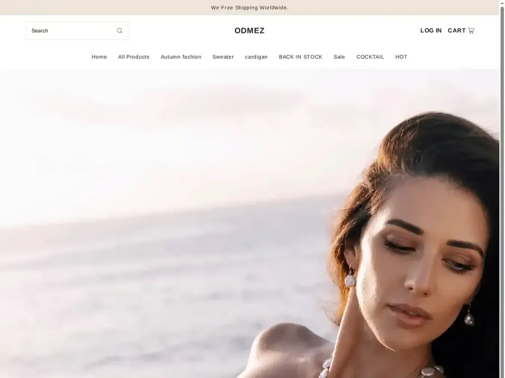 Screenshot of Non-Delivery scam website "500 Internal Server Error"