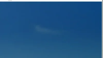 Screenshot of Non-Delivery scam website "Pacificmetalsuppliers.com"