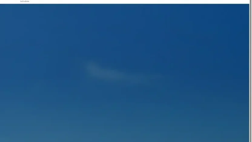 Screenshot of Non-Delivery scam website "Pacificmetalsuppliers.com"